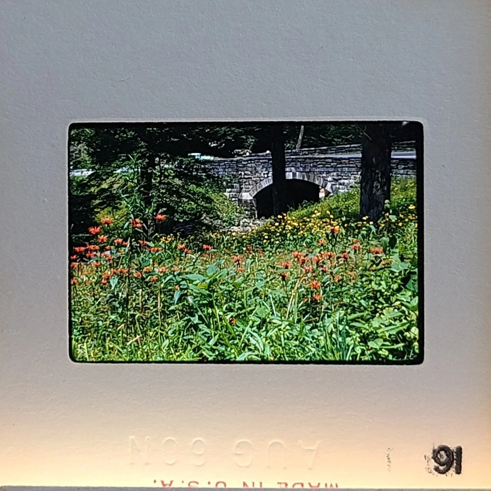 Lot of‎ 30 Slides Smokey Mountains Tourist Scenery Photos 1960 1975